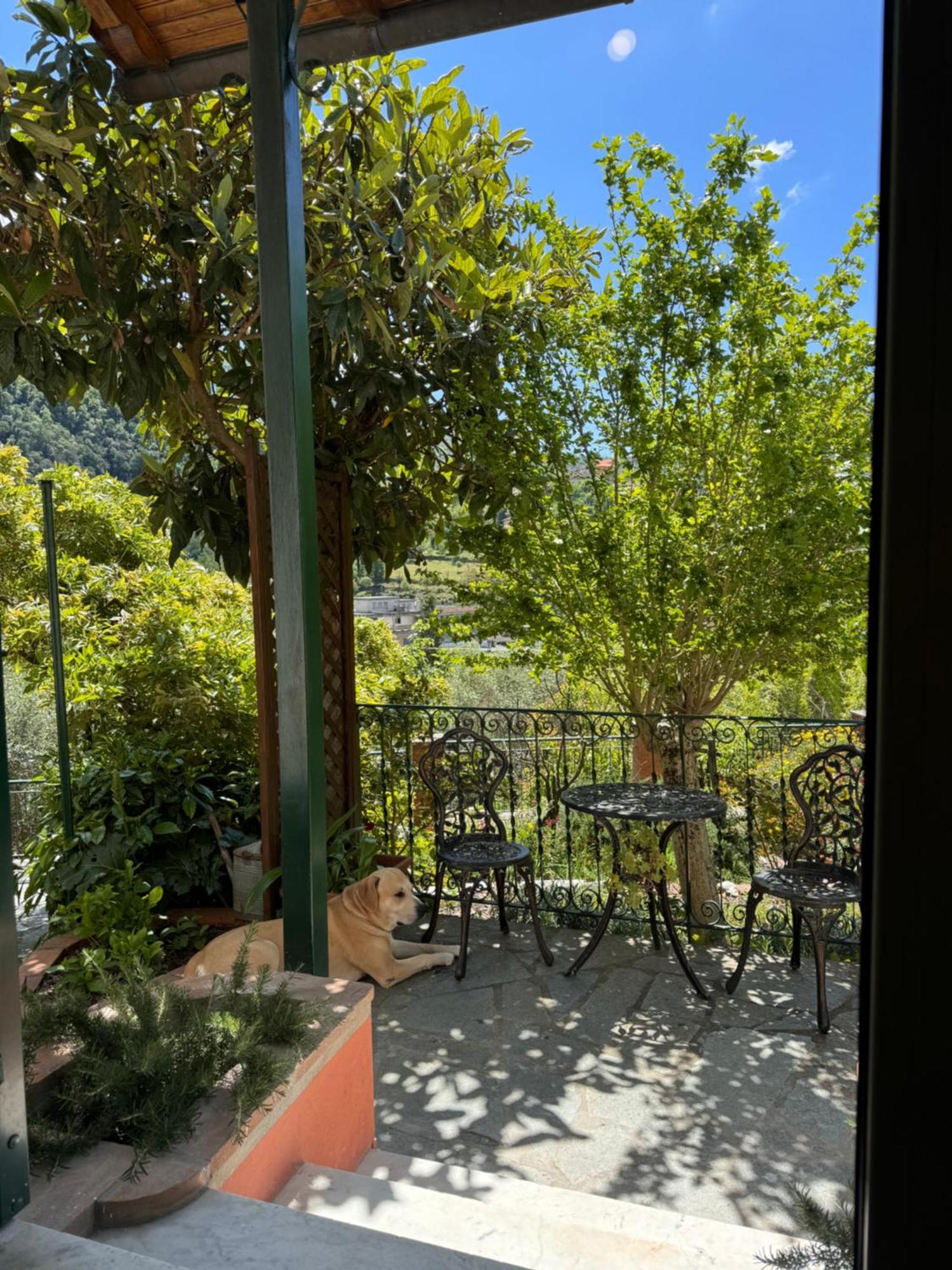 “Da Gio” In Un Antico Borgo Di Genova公寓 外观 照片
